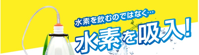 ���f�z���L�b�g Body�{���T�C�g